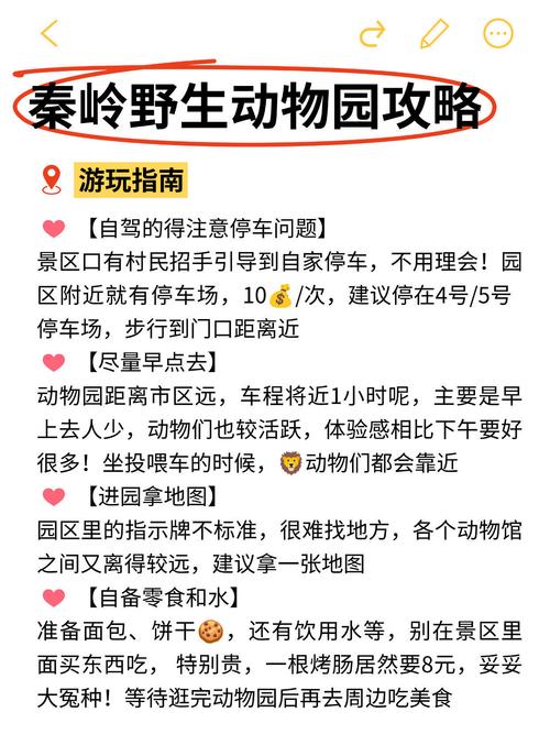 为什么说逛动物园超正经？内行人揭秘3大隐藏价值