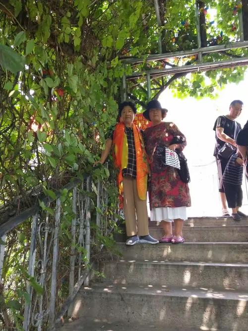 青松奇迹为何受追捧？三位受益者亲身经历分享