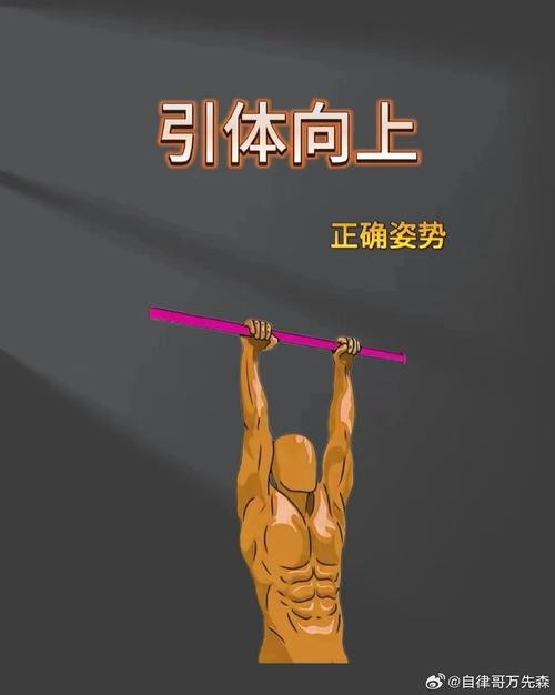 引体向上吧怎么增加次数？循序渐进法轻松突破！