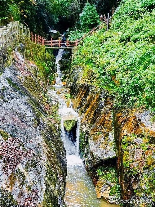 sn和tes直播避坑指南(老司机教你避开常见3大错误)