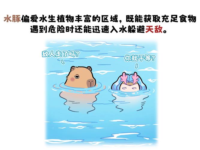 洞庭湖江豚怎么保护有效？专家支招3种关键方法！