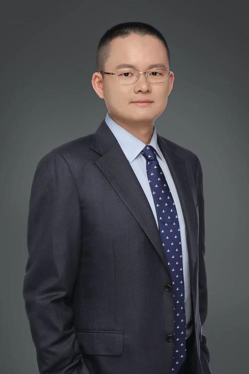 冰岛总统辞职影响有多大？(全球关注与国内震荡)