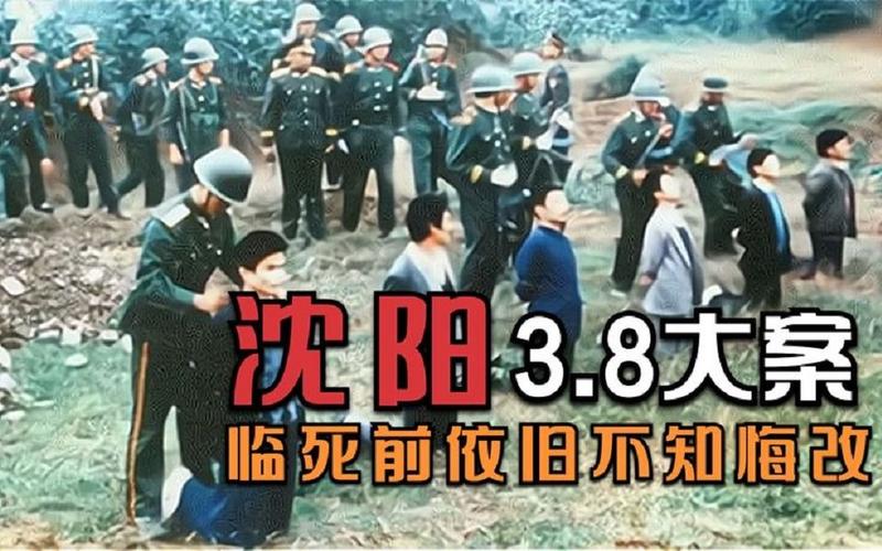沈阳3.8大案内幕有哪些？案件背后不为人知的真相