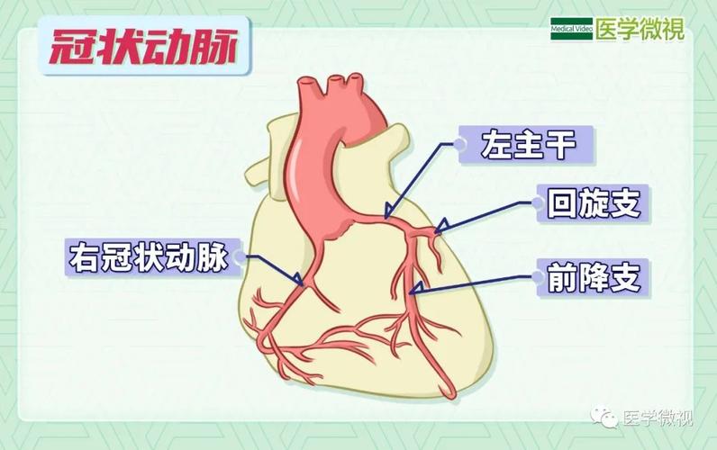 卡西突发心梗咋回事？医生提醒这些症状要警惕！