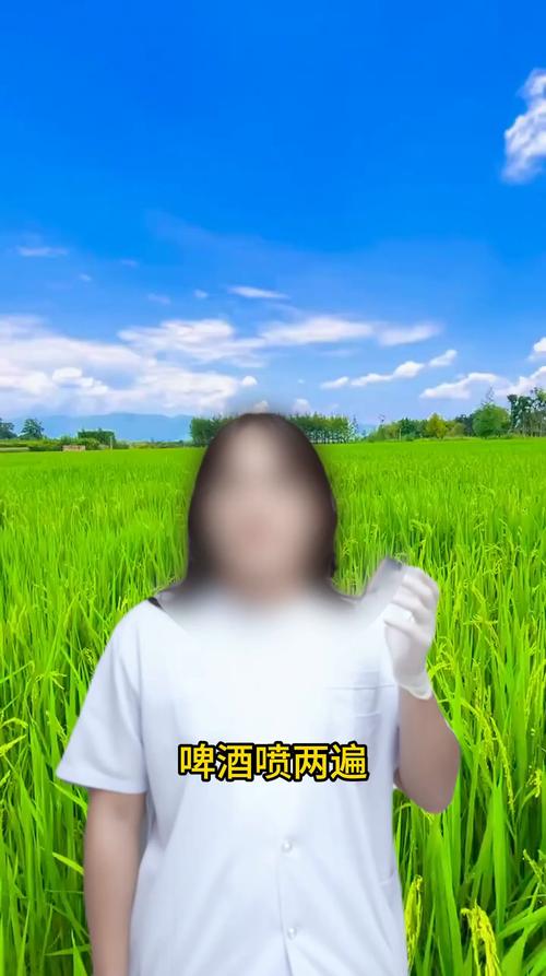 全都是泡沫为什么这么火（爆红背后真相揭秘）