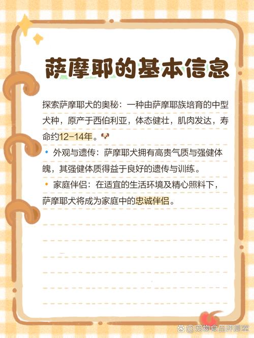 耶罗有哪些内容？3大类资源一文全知道