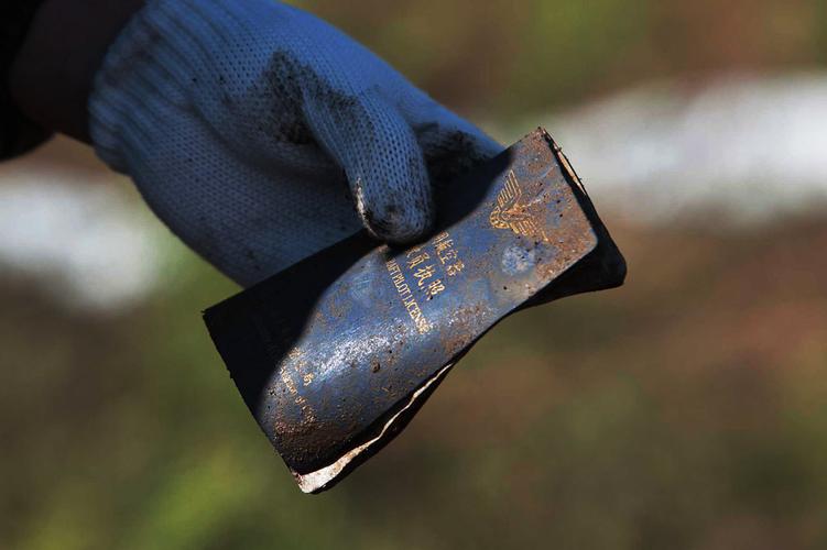 分析伊春空难黑匣子录音的方法？(资深人士教你5步操作指南！)